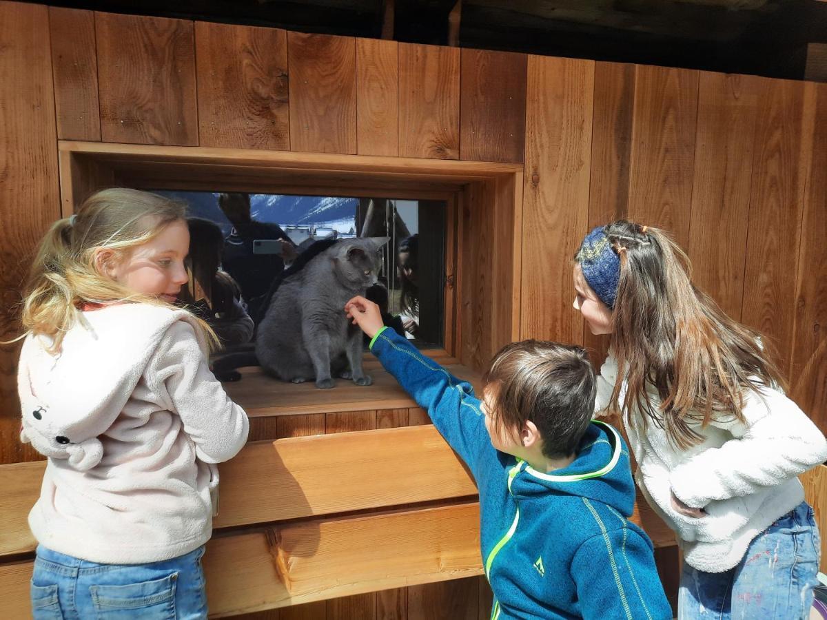 Appartamento Adlerhof Sankt Leonhard im Pitztal Esterno foto
